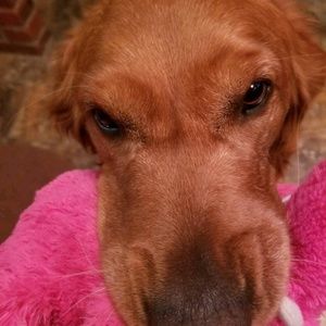 Meet your Posher, Rhonda